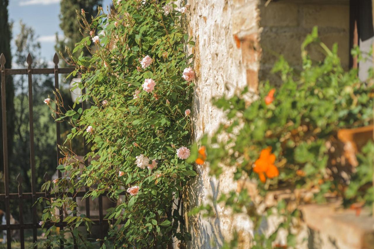 Agriturismo Cretaiole Pienza Exterior foto